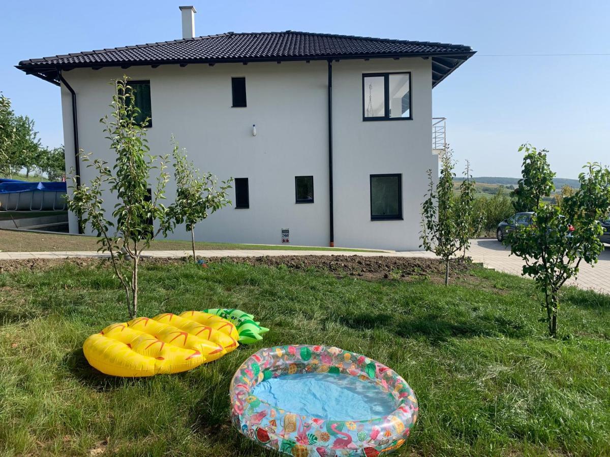 Viktoria House Villa Odorheiu Secuiesc Exterior photo