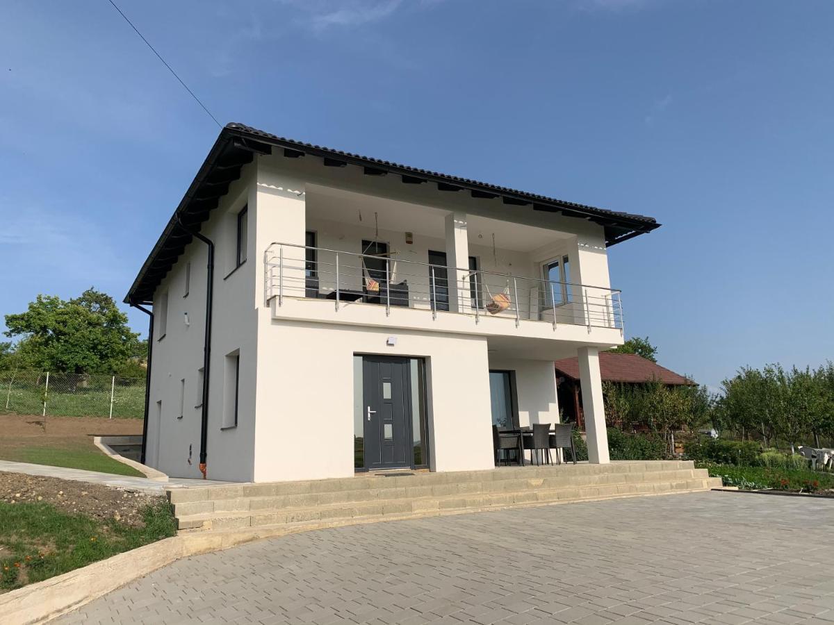 Viktoria House Villa Odorheiu Secuiesc Exterior photo