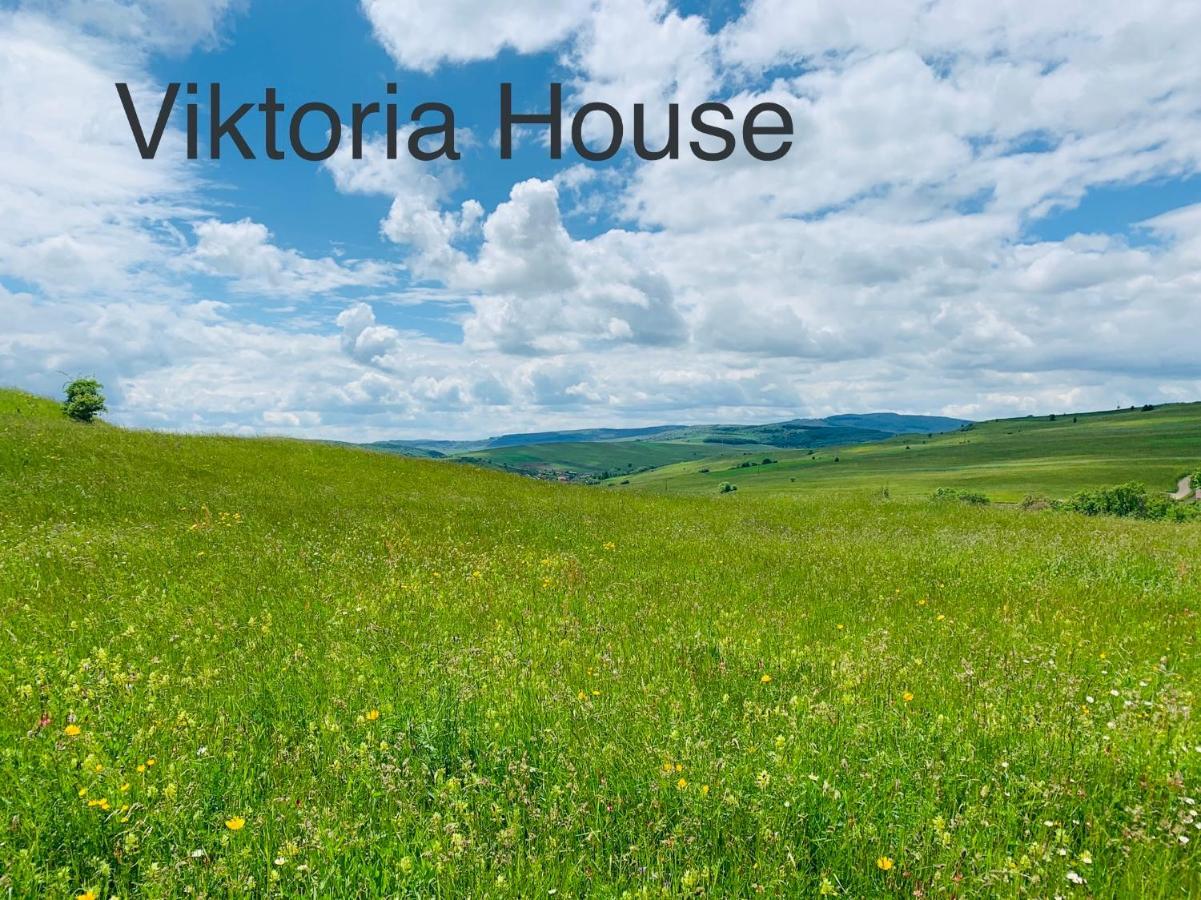 Viktoria House Villa Odorheiu Secuiesc Exterior photo