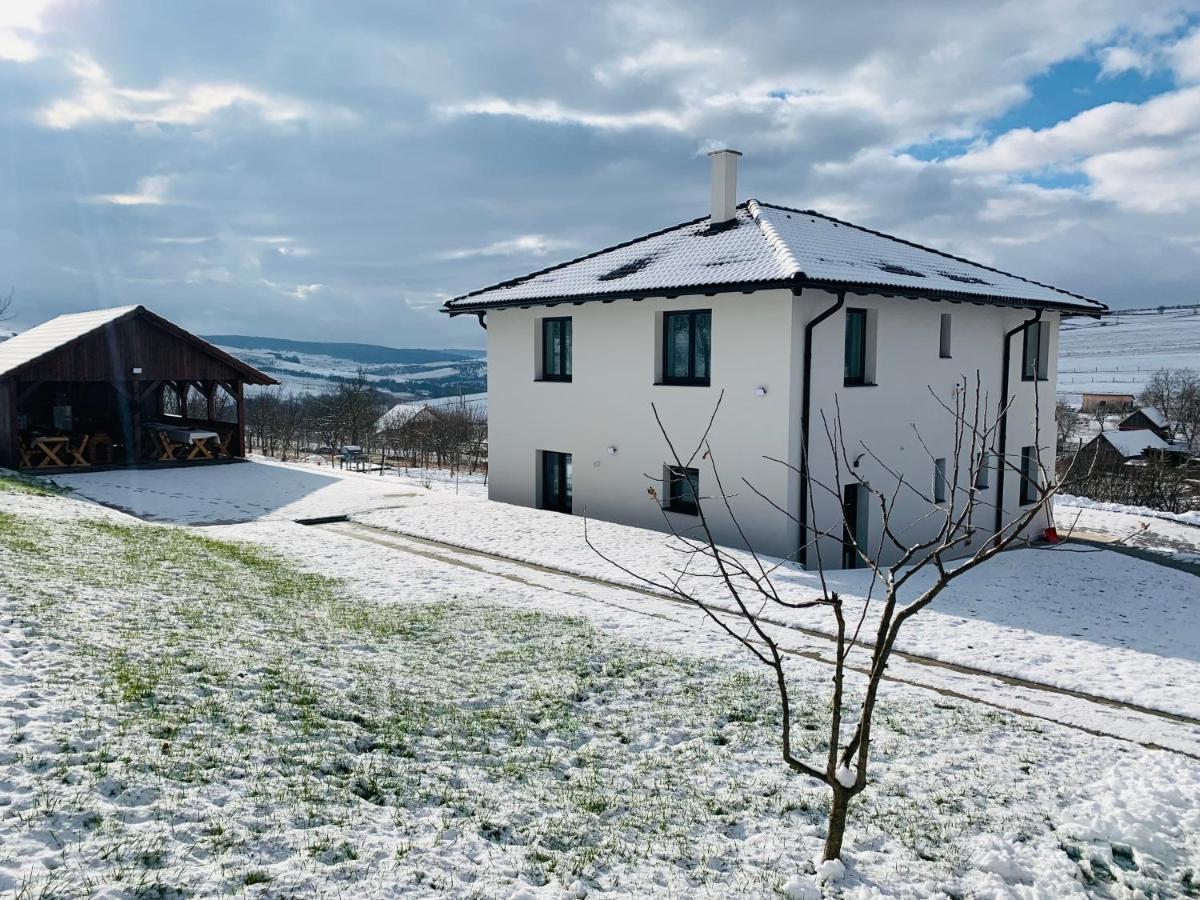 Viktoria House Villa Odorheiu Secuiesc Exterior photo